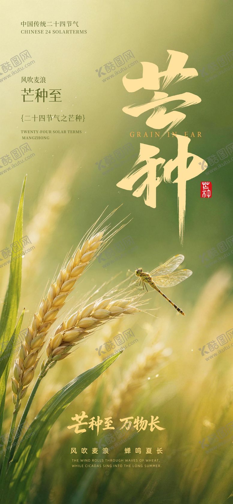 编号：67788205250119495469【酷图网】源文件下载-芒种海报