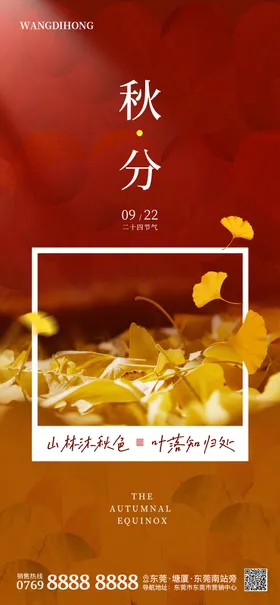 秋分节气海报