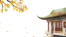 秋天银杏叶