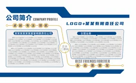 企业简介文化墙展板公司展板公司宣传展板