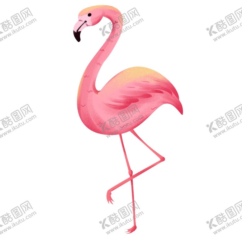 编号：50537310191741519383【酷图网】源文件下载-卡通精美火烈鸟