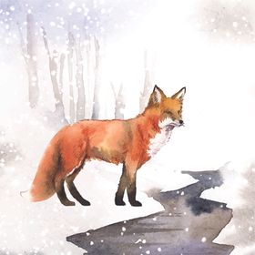 野生动物插图