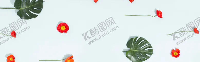 编号：68766106191508177020【酷图网】源文件下载-店铺装修新品上市置物背景