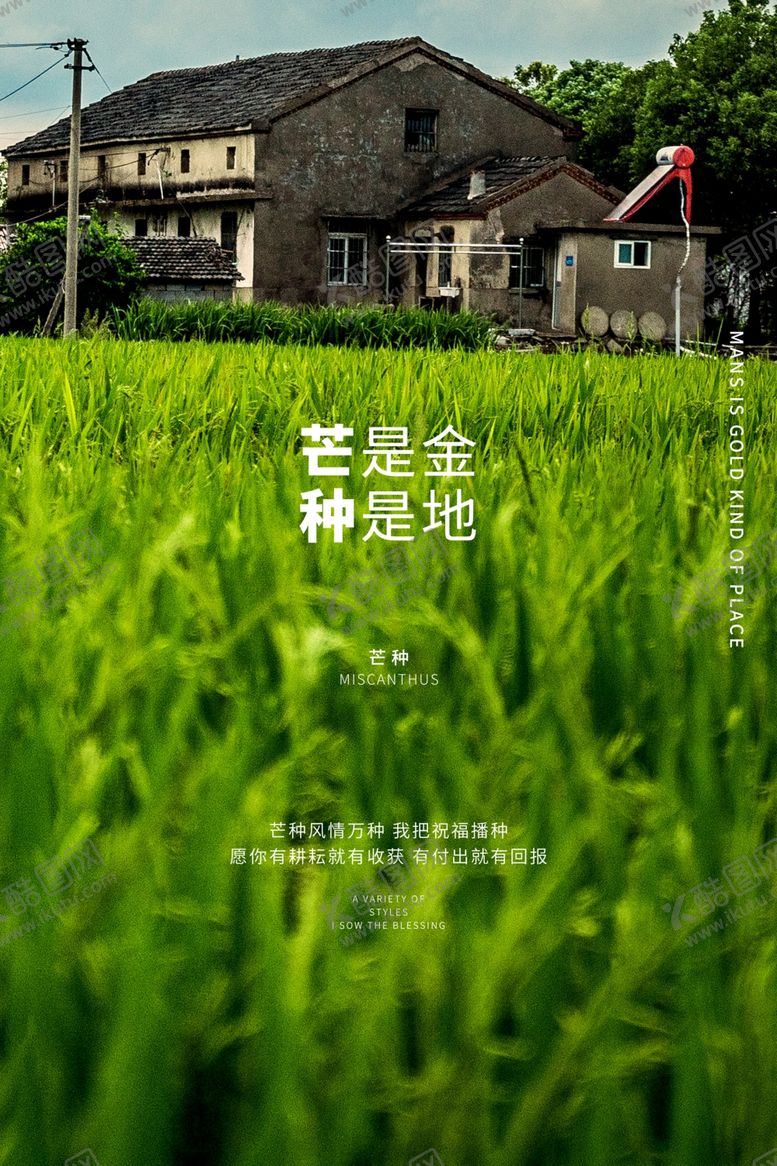 编号：51109806280446018952【酷图网】源文件下载-芒种海报