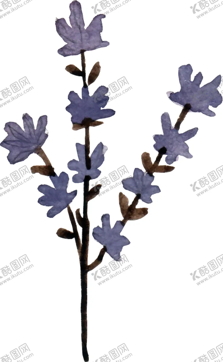 编号：23681801130147461038【酷图网】源文件下载-水彩植物