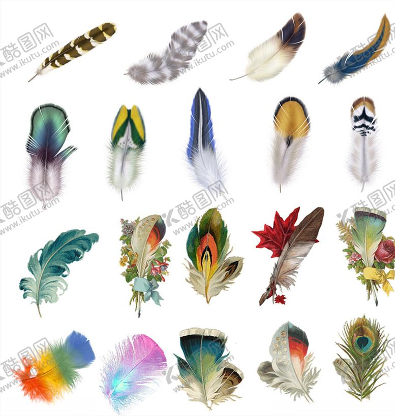 编号：85856410011213047645【酷图网】源文件下载-彩绘羽毛