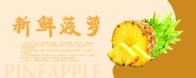 菠萝海报