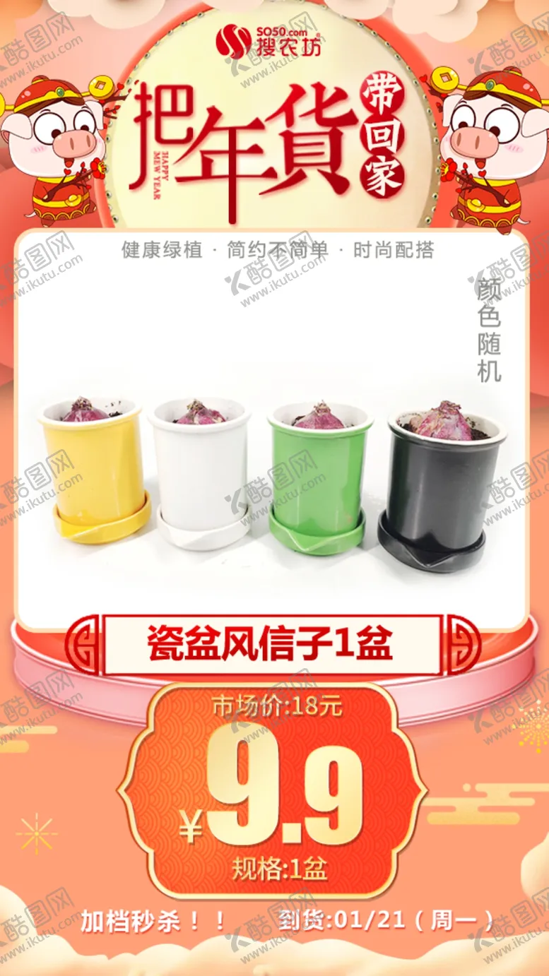 编号：22220104180501477475【酷图网】源文件下载-年货秒杀瓷盆风信子海报