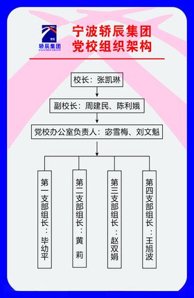 轿辰集团党组织构架