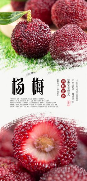 杨梅