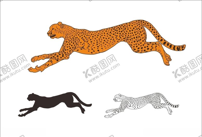 编号：36572906240336525033【酷图网】源文件下载-猎豹