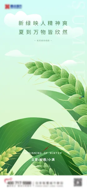 节气海报房地产立夏麦穗