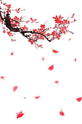 古风手绘水墨梅花瓣