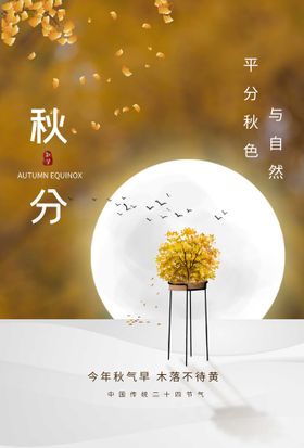 秋分凉爽丰收节气背板