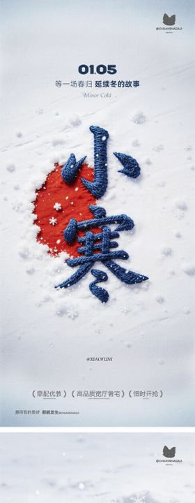 小寒雪地海报