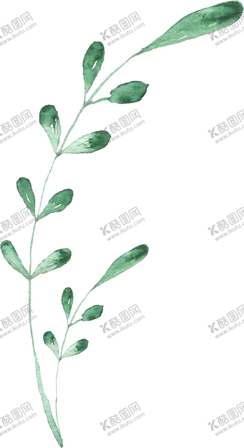 编号：44115705161812451483【酷图网】源文件下载-海报元素花草元素展架元素