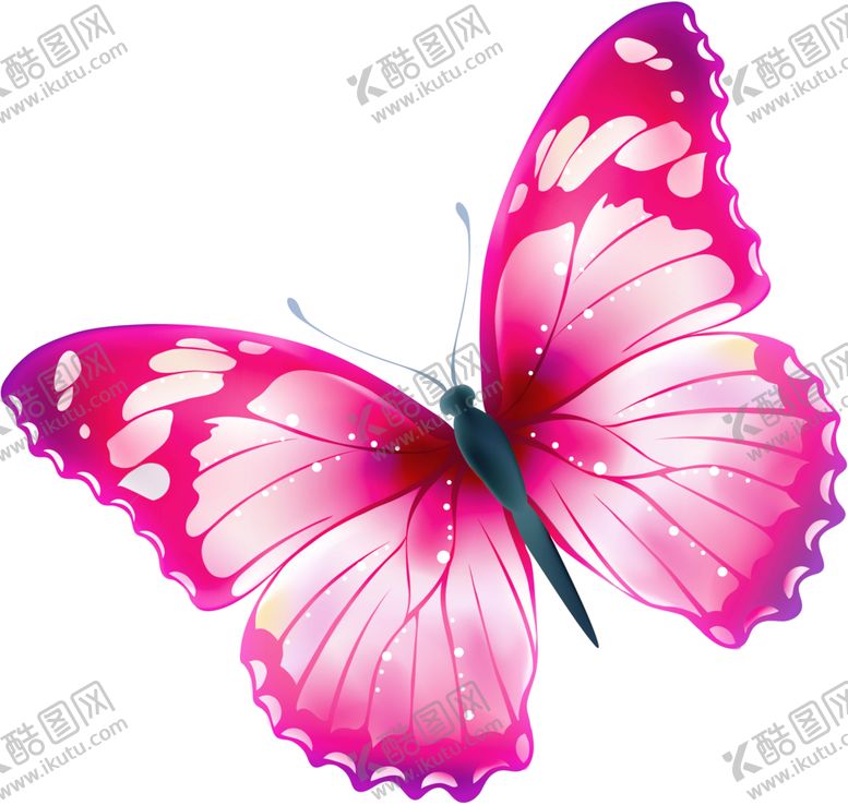 编号：17446901171252042598【酷图网】源文件下载-粉红色的蝴蝶