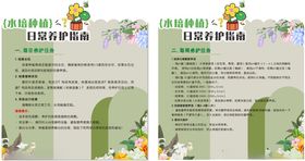 水培日常养护指南