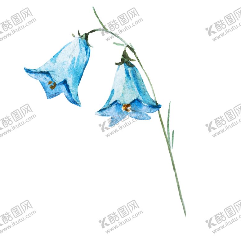 编号：95398409291908032591【酷图网】源文件下载-手绘植物