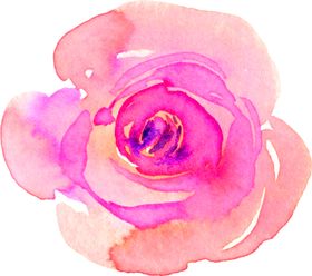 鲜花素材