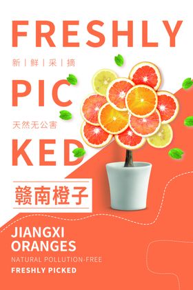 淘宝赣南脐橙子