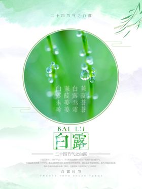 24节气之白露