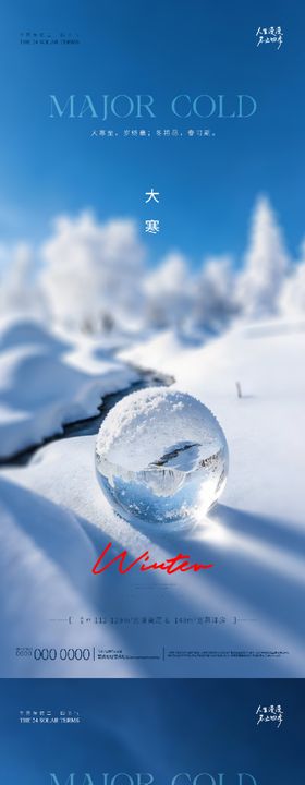 地产大寒系列海报