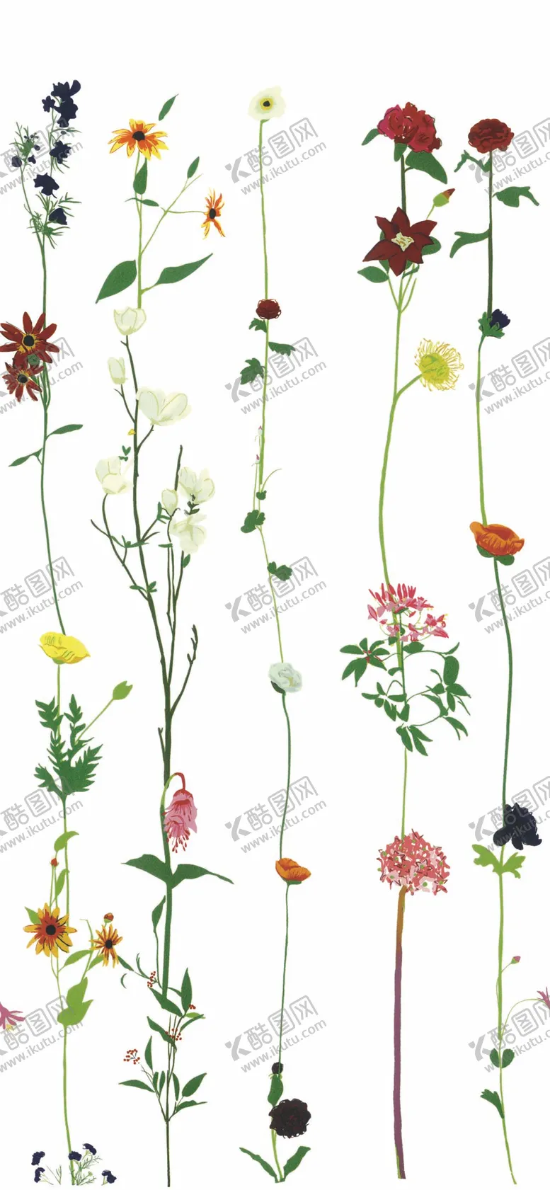 编号：32041510090018061439【酷图网】源文件下载-定位花 大牌花 
