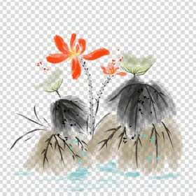 荷花莲花素材图片夏天