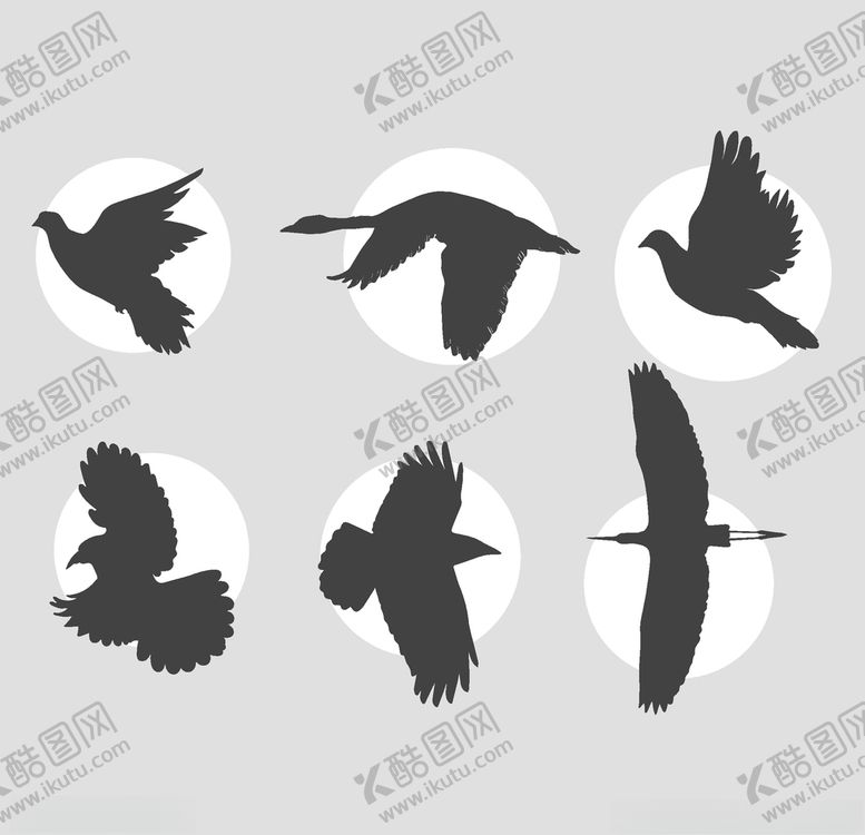 编号：19889805121600557399【酷图网】源文件下载-鸟剪影