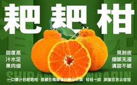 新鲜耙耙柑诱人展示