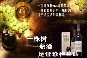 葡萄酒海报