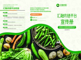 互联网蔬菜平台宣传册