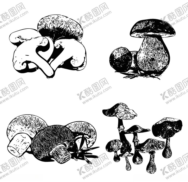 编号：23482109162244282562【酷图网】源文件下载-素描菌菇