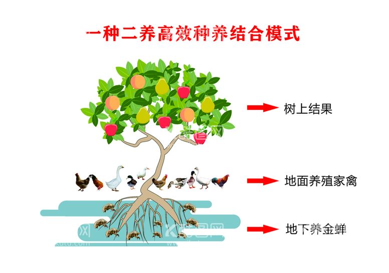 编号：14529512101530102441【酷图网】源文件下载-卡通果树鸭子蝉