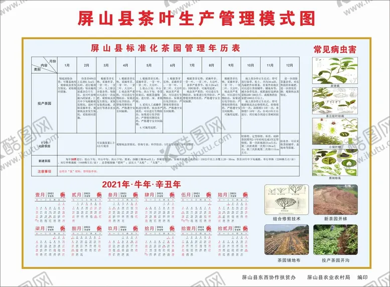 编号：12255201182021565058【酷图网】源文件下载-茶叶生产管理模式图