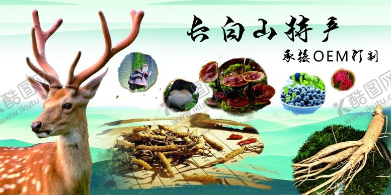 编号：36317806282239247226【酷图网】源文件下载-长白山特产