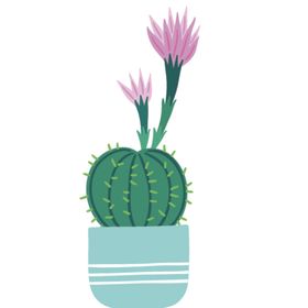小清新仙人掌绘画图案