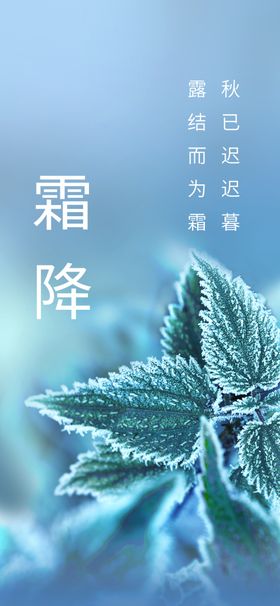 霜降海报