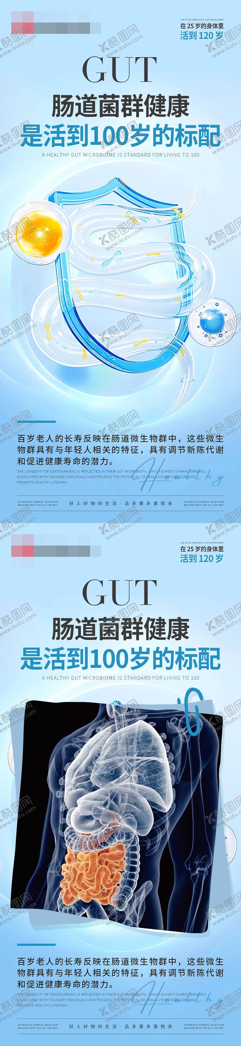 编号：57590409172051178009【酷图网】源文件下载-肠道益生菌产品系列海报