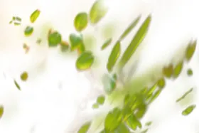 梦幻炫光特效素材