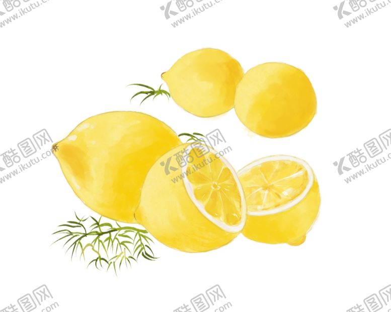 编号：80020602210622242395【酷图网】源文件下载-手绘柠檬插画