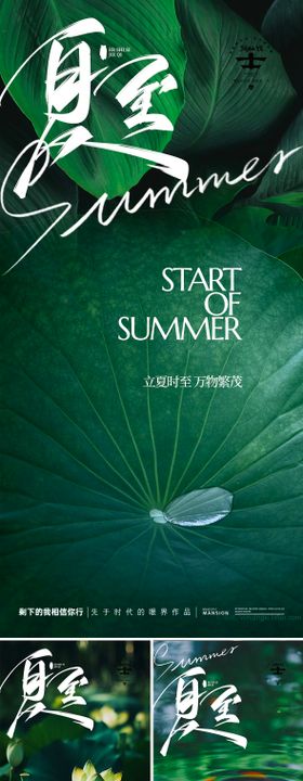 夏至海报荷叶二十四节气