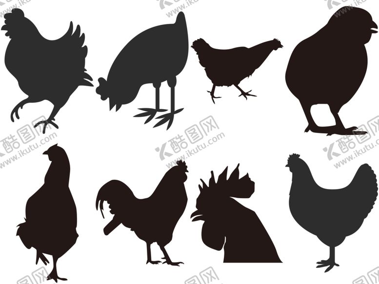 编号：26566809221540417742【酷图网】源文件下载-卡通鸡