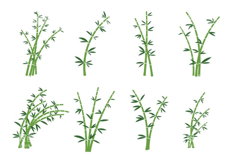 编号：89829112201112444825【酷图网】源文件下载-卡通竹子