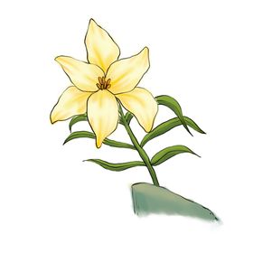 手绘植物元素