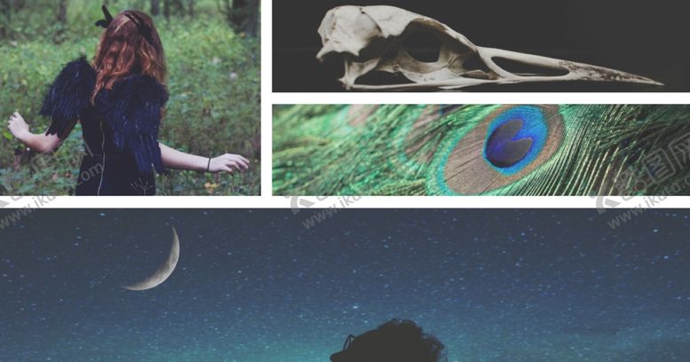 编号：32942810081908403952【酷图网】源文件下载-版式风格