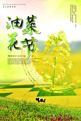 油菜花