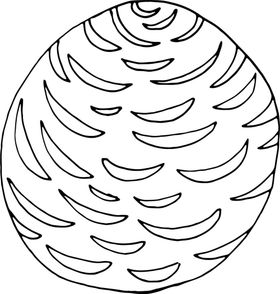 秘密花园