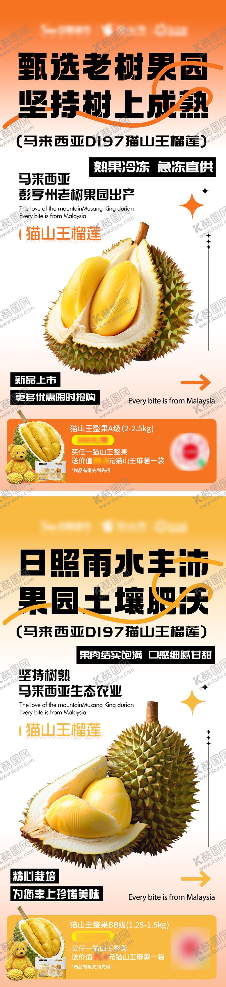 编号：80019202261808579909【酷图网】源文件下载-水果海报设计